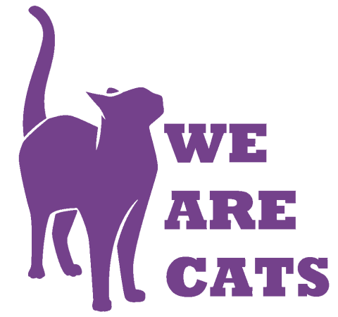 We Are Cats